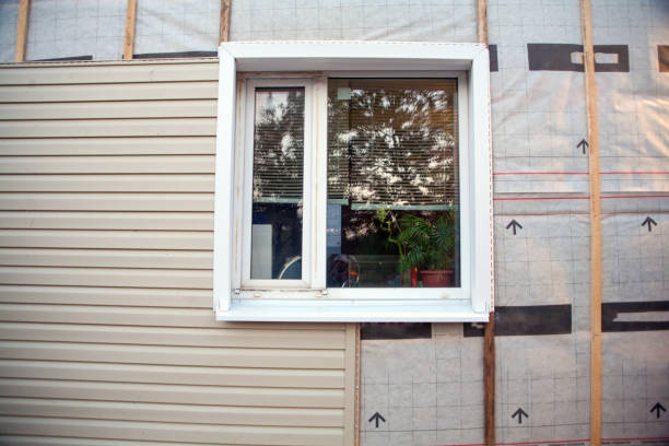 Best Same-Day Junk Removal Services  in Absecon, NJ